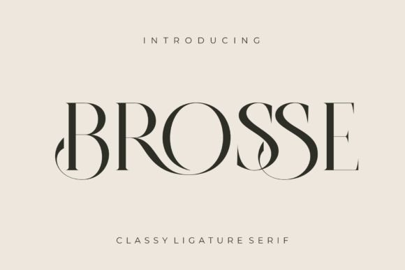 Elevate Your Crafts with the Brosse Serif Typeface