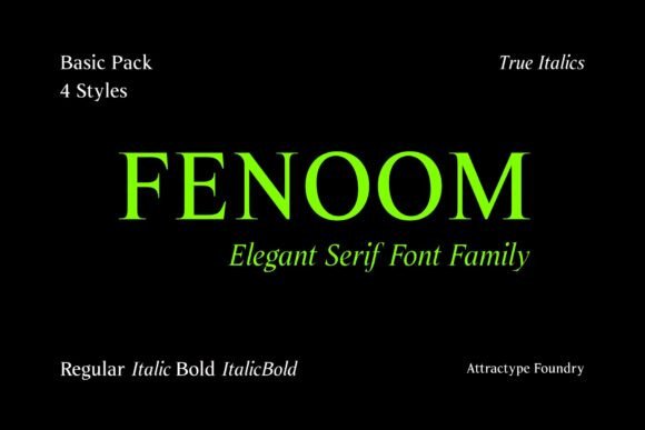 Fenoom Font: Elevating Web Design with Elegant Serif Typography
