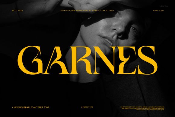 Garnes Font Review