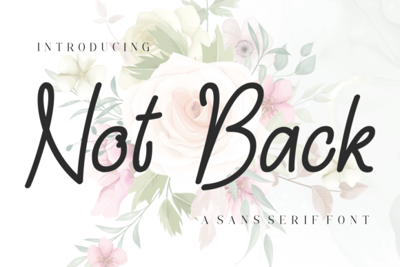 Not Back: The Sans Serif Font That Elevates Campaign Design