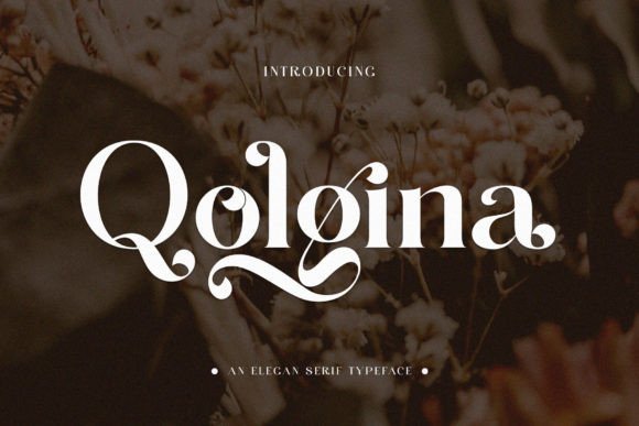 Qolgina Typeface: Elevating Digital Brand Identity