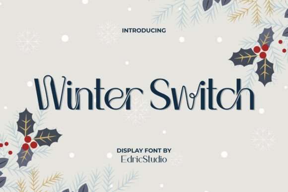 Winter Switch: A Premium Sans Serif Font for Branding